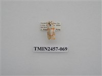 藏品(二斑叉紋苔蛾)的圖片